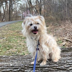 Meet your Posher, Jordan